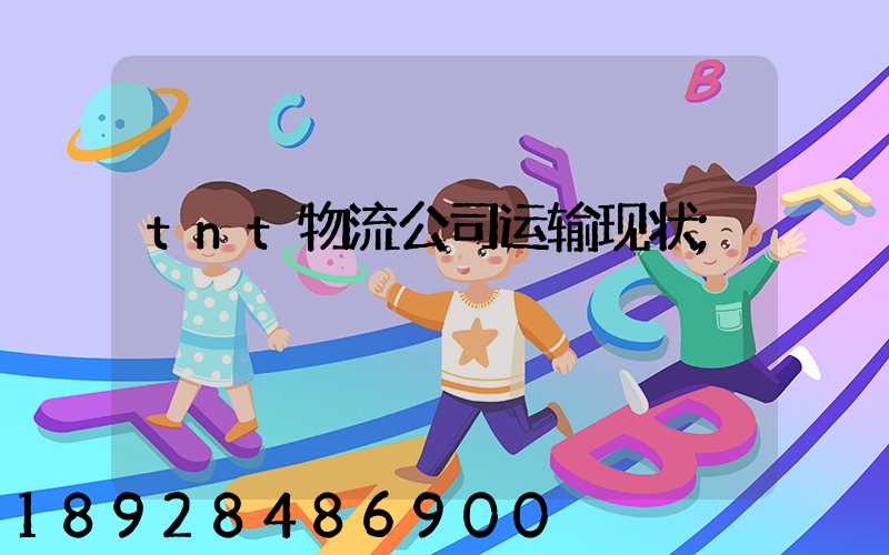 tnt物流公司运输现状