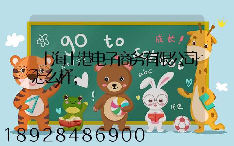 上海上港电子商务有限公司怎么样