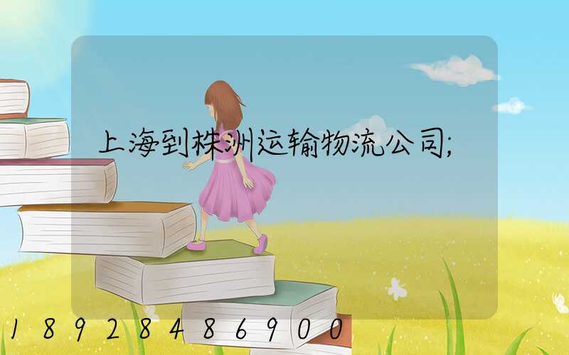 上海到株洲运输物流公司