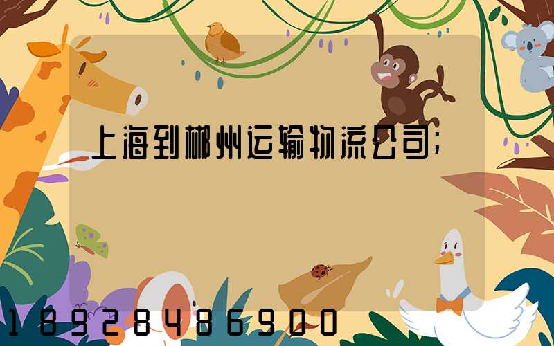 上海到郴州运输物流公司