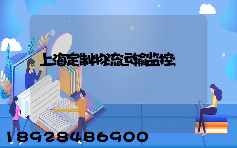 上海定制物流运输监控