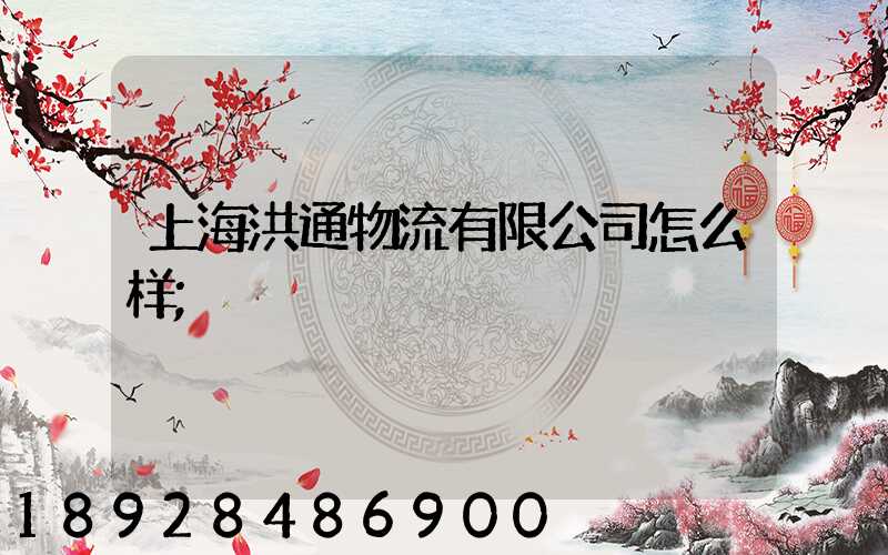 上海洪通物流有限公司怎么样