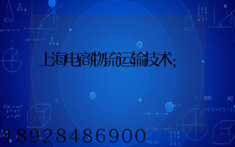 上海电商物流运输技术