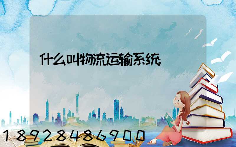 什么叫物流运输系统