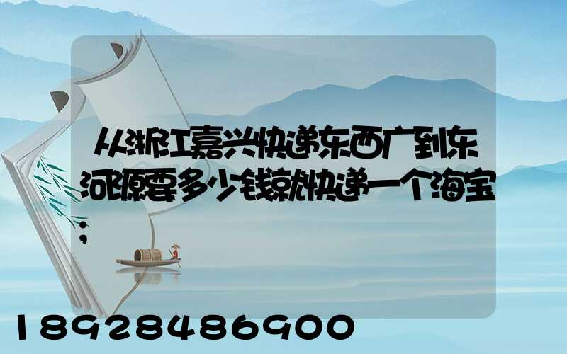 从浙江嘉兴快递东西广到东河源要多少钱就快递一个海宝