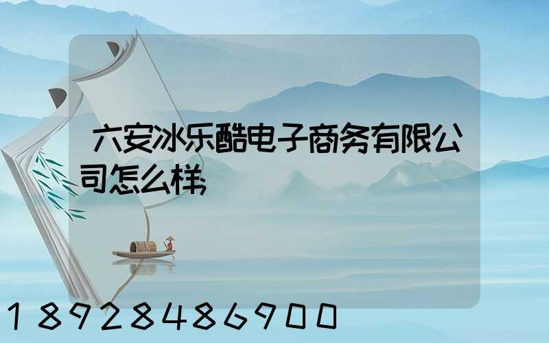 六安冰乐酷电子商务有限公司怎么样