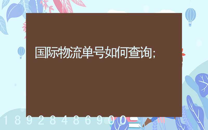 国际物流单号如何查询