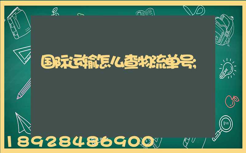国际运输怎么查物流单号