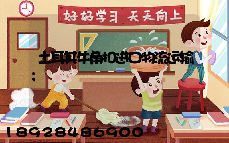 土耳其牛角扣进口物流运输