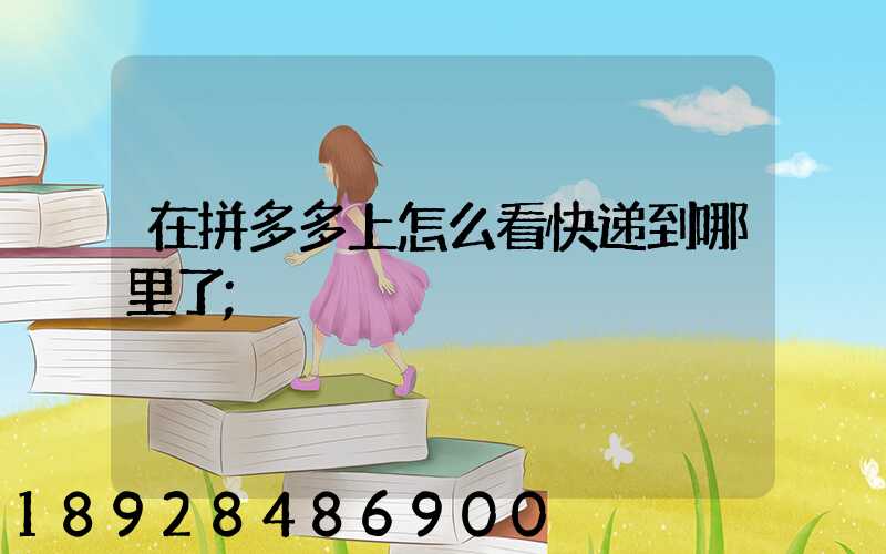 在拼多多上怎么看快递到哪里了