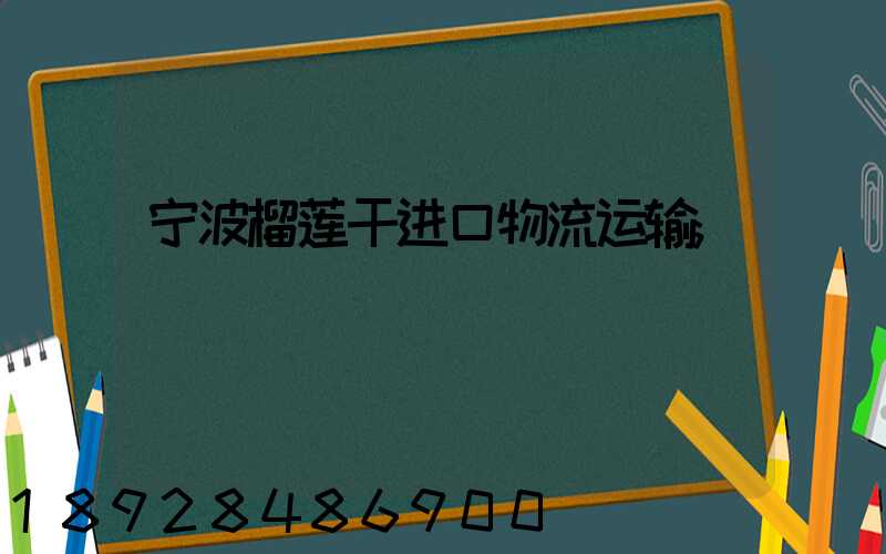 宁波榴莲干进口物流运输