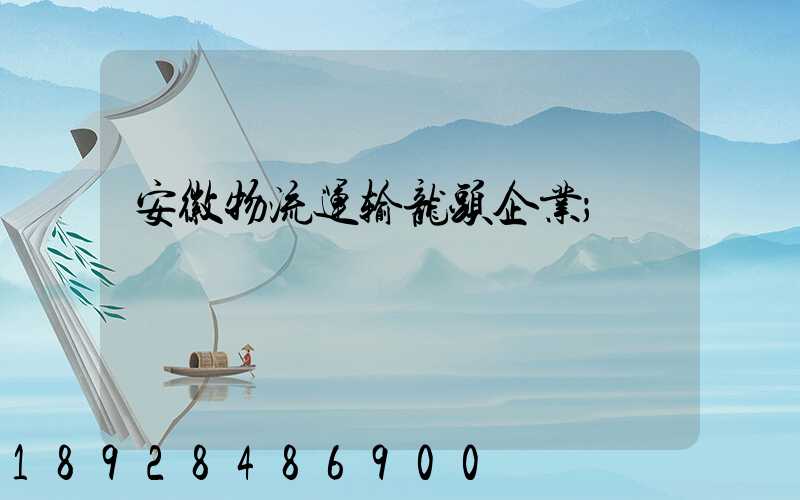 安徽物流运输龙头企业