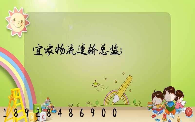宜家物流运输总监