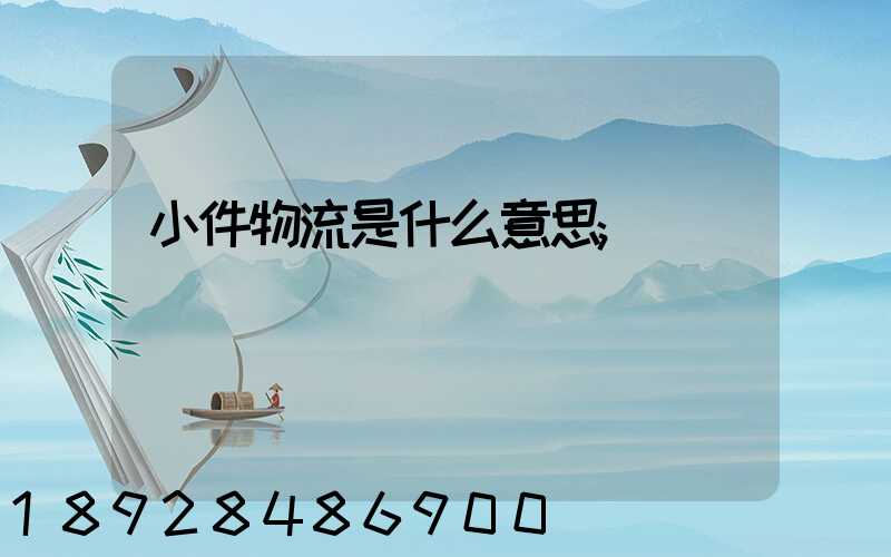 小件物流是什么意思