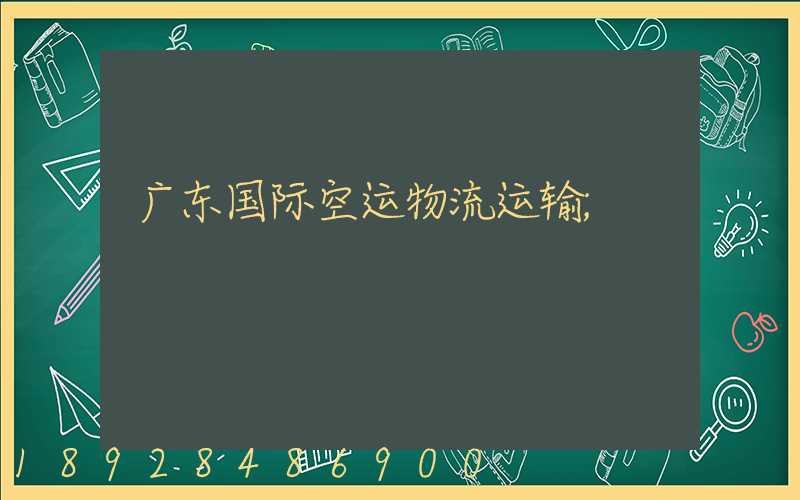 广东国际空运物流运输