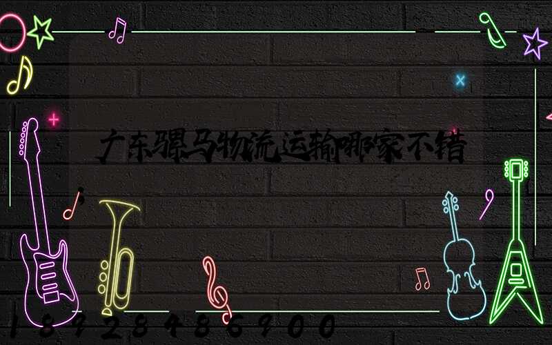 广东骡马物流运输哪家不错