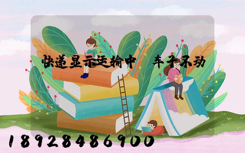 快递显示运输中,车子不动