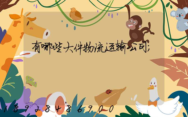 有哪些大件物流运输公司