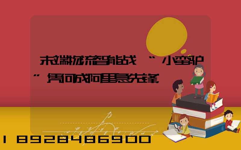 末端物流智能战,“小蛮驴”凭何成阿里急先锋