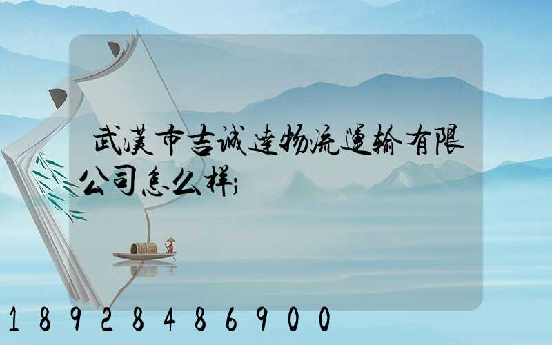 武汉市吉诚达物流运输有限公司怎么样