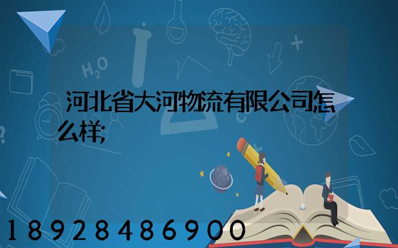 河北省大河物流有限公司怎么样