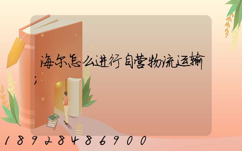 海尔怎么进行自营物流运输