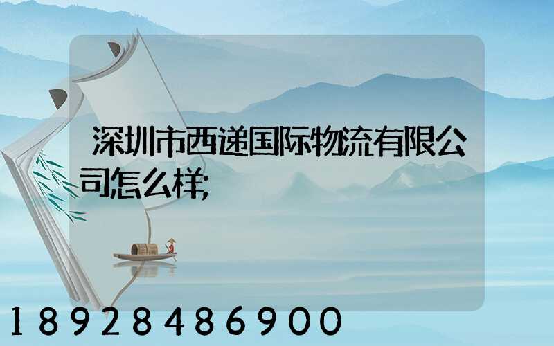 深圳市西递国际物流有限公司怎么样