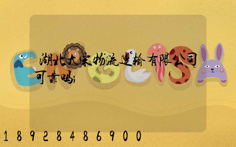 湖北大宋物流运输有限公司可靠吗