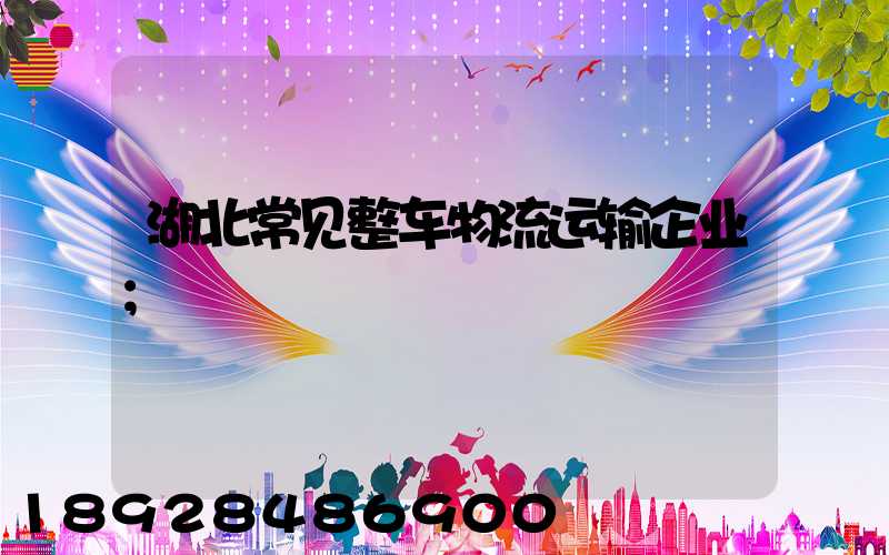 湖北常见整车物流运输企业