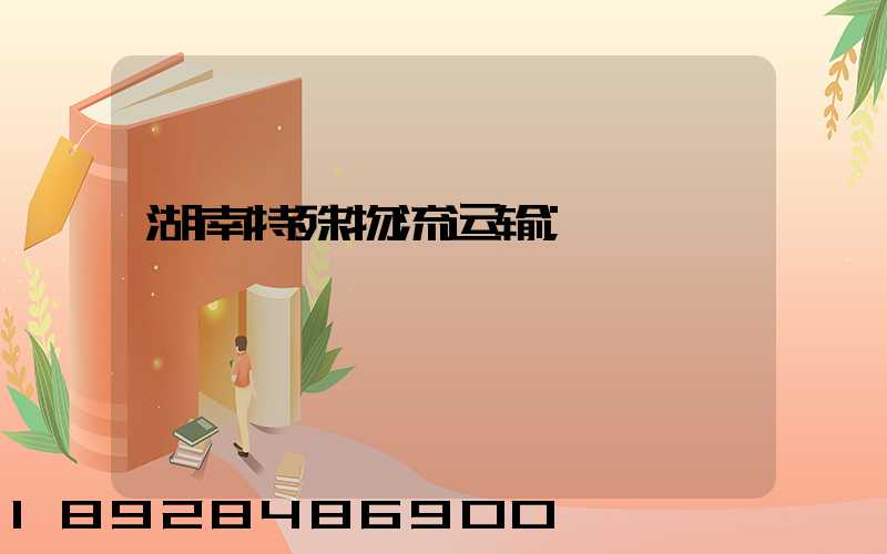 湖南特殊物流运输