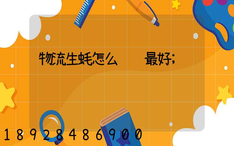 物流生蚝怎么运输最好