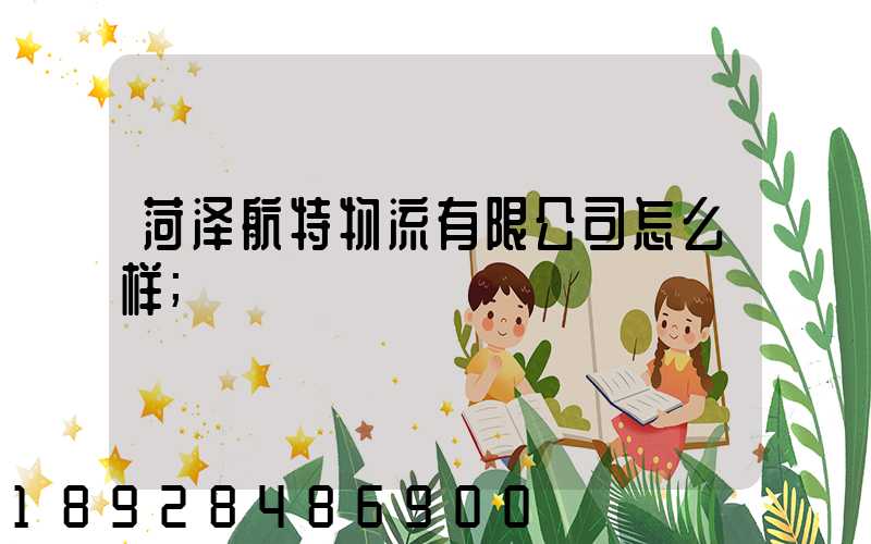 菏泽航特物流有限公司怎么样