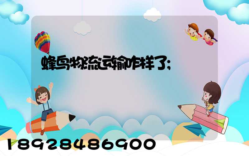 蜂鸟物流运输咋样了