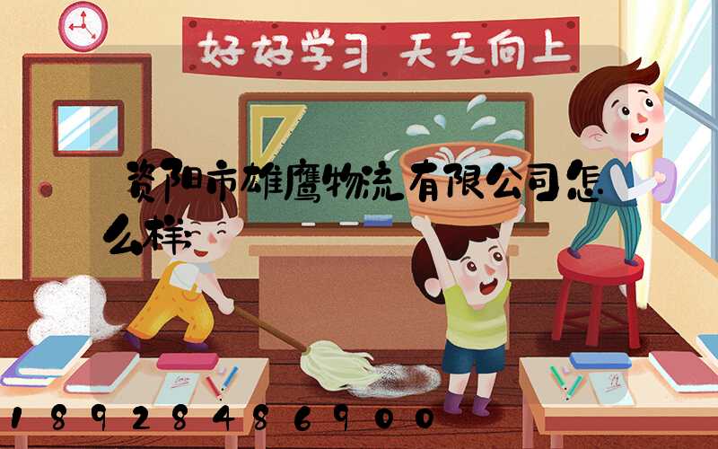 资阳市雄鹰物流有限公司怎么样