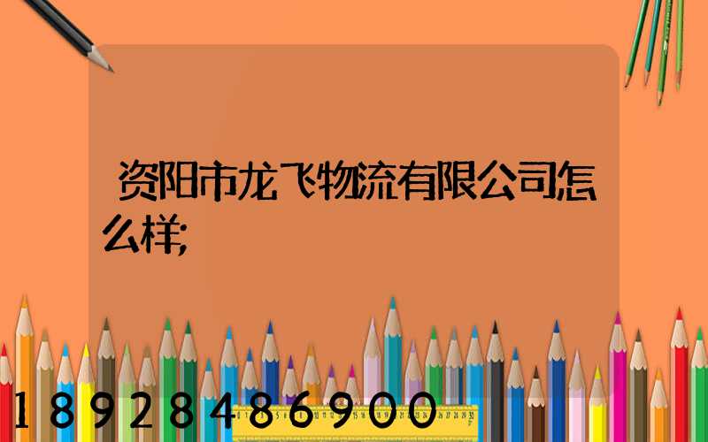 资阳市龙飞物流有限公司怎么样