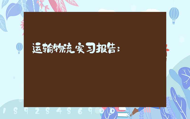 运输物流实习报告